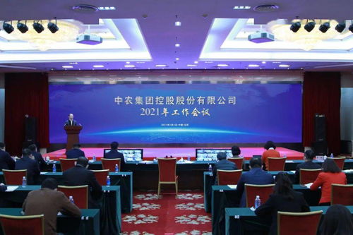 聚光成炬，照亮高質量發展之路——中農控股2021年工作會議暨企業管理咨詢新航向